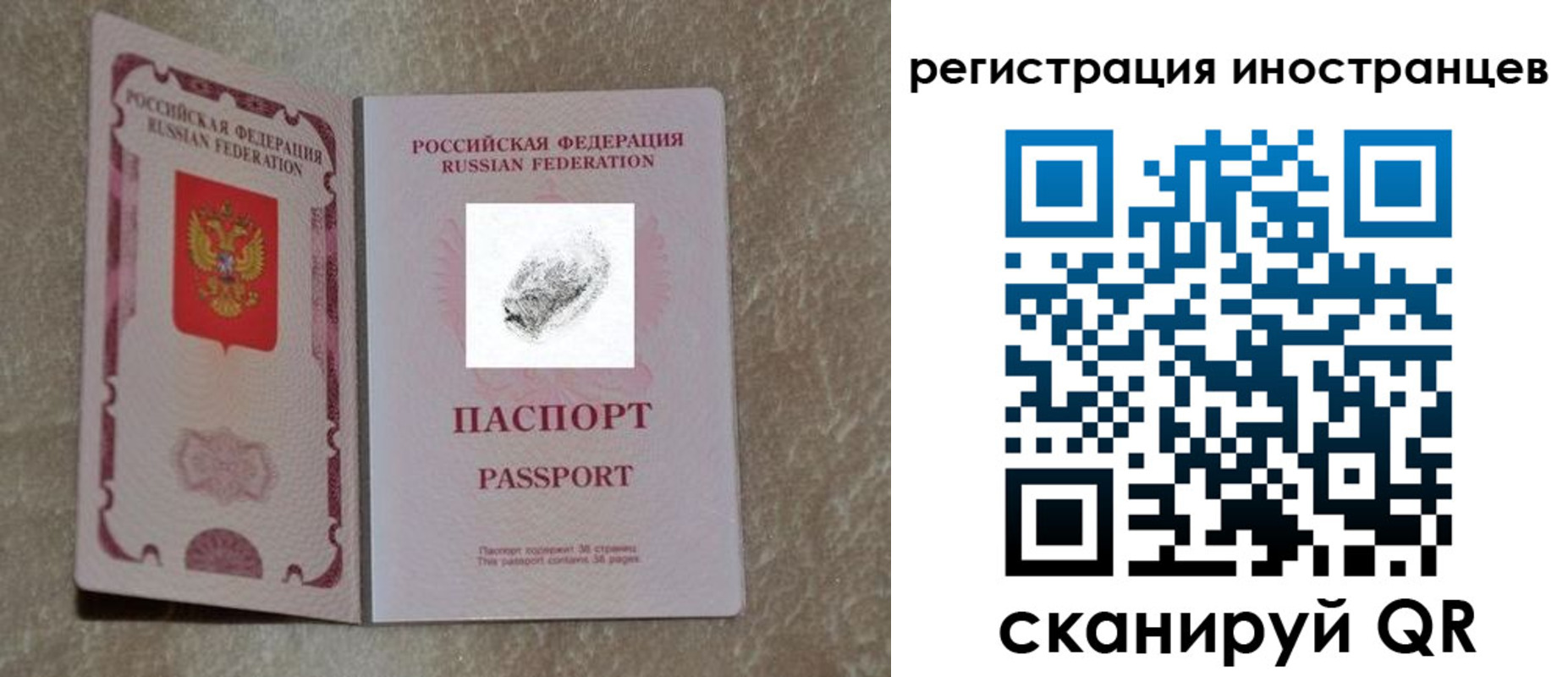 прописка законно в Опочке